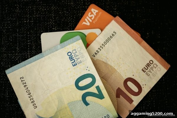 银行卡出款时间策略全解析：bbin电子站带你玩转WM真人资金流转