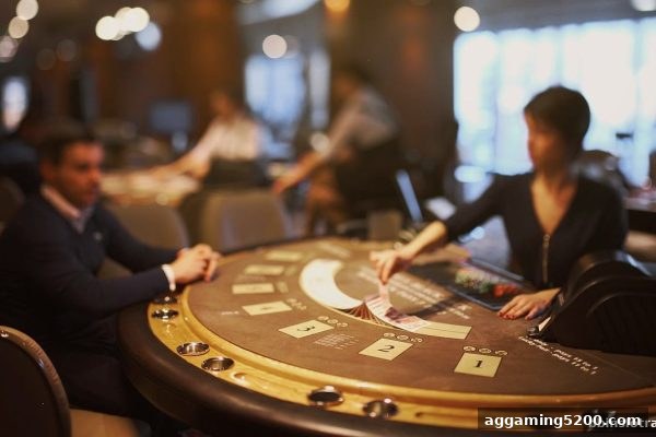 玩转二十一点：bbin电子站真人棋牌入门与进阶全攻略