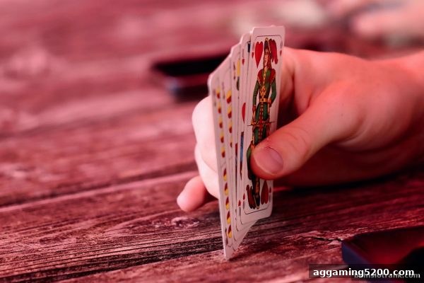 bbin电子站：洗码返水与胜率计算的深度剖析——如何精准优化你的博弈收益