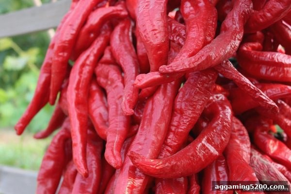 深度解读bbin电子站存送积分活动：从机制到实战技巧