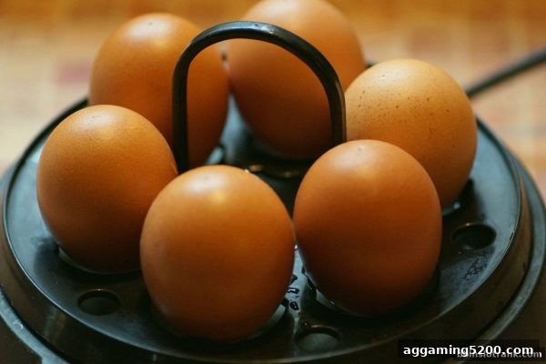 bbin电子站深度解析：连线效果如何重塑数字游戏分析格局？